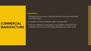 COMMERCIAL
MANUFACTURE
Coagulation
 The sap that oozes out is collected and put into a pot and boiled
with little water.
 It is boiled and then kneaded under running water.
 Chemical method of coagulation is by addition of alcohol and
creosote mixture (20:1), ammonia, limewater or caustic soda
 