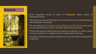  Dried coagulated extract of plants of Palaquium, Blanco genus of
Sapotaceae family.
 These trees are natural inhabitants of South East Asia, particularly Malaysian
and Indonesian archipelago
 The concrete juices of Isonandra gutta, Palaquium gutta and Dichopsis gutta
are the main trees from where, we obtain Gutta-percha material.
 These Gutta-percha yielding trees are medium to tall trees, in which a series
of cuts (concentric or v- shaped cuts) are made to obtain the juice.
 The leaves of these trees also contribute to a minimal extent in Gutta-percha
production.
Sources
 