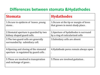 Hydothode Guttatuion | PPTX