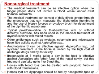 Nonsurgical treatment
 The medical treatment can be an effective option when the
fungal plaque does not involve a blood vessel and/or exist
financial restraints.
 The medical treatment can consist of daily direct lavage through
the endoscope that can macerate the diphtheritic membrane
and the use of biopsy forceps or cytology brush for detachment
of the diphtheritic membrane.
 Topical povidone-iodine or thiabendazole with or without
dimethyl sulfoxide, has been used in the medical treatment of
mycotic lesions with mixed results.
 Other antifungals such as nystatin, natamycin and miconazole
have little activity against Aspergillus spp..
 Amphotericin B can be effective against Aspergillus spp, but
systemic treatment in the horse is limited by the high cost of
antifungal drugs and by its toxicity.
 Itraconazole at 3 mg/kg twice a day in the feed is effective
against Aspergillus and other fungi in the nasal cavity, but this
treatment can take up to 4 or 5 months.
 Horses with blood loss can be treated with polyionic fluids or
with blood transfusions.
 Horses that are dysphagic should be fed by nasogastric tube or
 