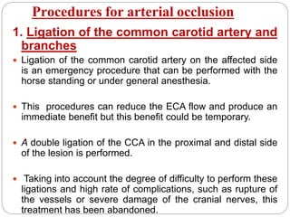 Procedures for arterial occlusion
1. Ligation of the common carotid artery and
branches
 Ligation of the common carotid artery on the affected side
is an emergency procedure that can be performed with the
horse standing or under general anesthesia.
 This procedures can reduce the ECA flow and produce an
immediate benefit but this benefit could be temporary.
 A double ligation of the CCA in the proximal and distal side
of the lesion is performed.
 Taking into account the degree of difficulty to perform these
ligations and high rate of complications, such as rupture of
the vessels or severe damage of the cranial nerves, this
treatment has been abandoned.
 