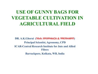 USE OF GUNNY BAGS FOR
VEGETABLE CULTIVATION IN
AGRICULTURAL FIELD
DR. A.K.Ghorai (Mob: 8910946626 & 9903044095)
Principal Scientist, Agronomy, CPD
ICAR-Central Research Institute for Jute and Allied
Fibres
Barrackpore, Kolkata, WB, India
 