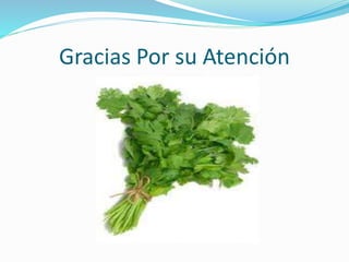Gracias Por su Atención
 
