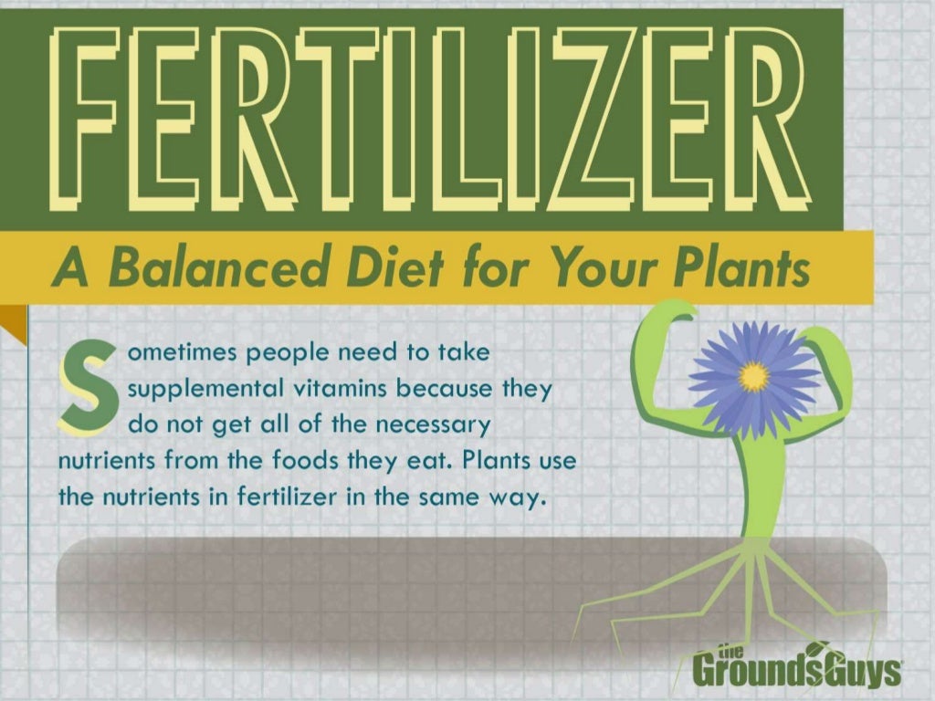 How To Demystify Balanced Plant Fertilizers? – WFIJTD