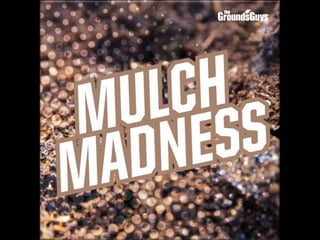 Mulch Madness | Tips from The Grounds Guys®