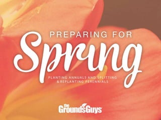 Preparing for Spring: Planting Annuals and Splitting & Replanting Perennials | Tips from The Grounds Guys®