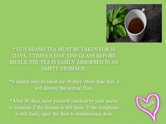 Guyabano Tea For Cancer
