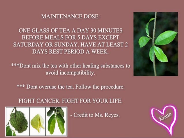 Guyabano Tea For Cancer Guyabano Tea For Cancer