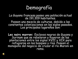 Demografía La Guyana francesa posee una población actual de 191.309 habitantes. Poseen una mezcla de culturas, debido a las constantes colonizaciones en los siglos pasados. Los principales lugareños son: Les noirs marron:  Esclavos negros de Guyana y Surinam que se rebelaron y huyeron de las plantaciones entre los siglos XVII y XIX para refugiarse en los bosques y ríos. Poseen el monopolio del negocio de cruzar el río Maroni en remo. 