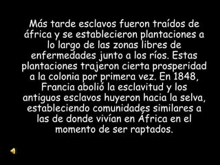 Más tarde esclavos fueron traídos de áfrica y se establecieron plantaciones a lo largo de las zonas libres de enfermedades junto a los ríos. Estas plantaciones trajeron cierta prosperidad a la colonia por primera vez. En 1848, Francia abolió la esclavitud y los antiguos esclavos huyeron hacia la selva, estableciendo comunidades similares a las de donde vivían en África en el momento de ser raptados. 