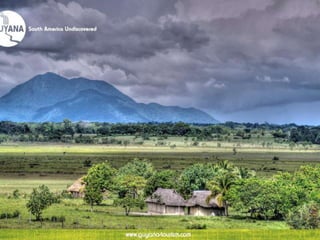 Guyana