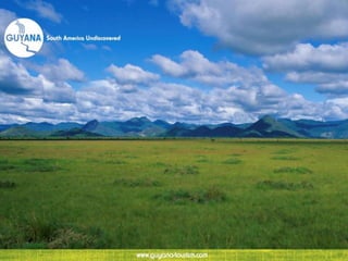 Guyana