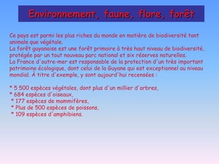 Environnement, faune, flore, forêt

Ce pays est parmi les plus riches du monde en matière de biodiversité tant
animale que végétale.
La forêt guyanaise est une forêt primaire à très haut niveau de biodiversité,
protégée par un tout nouveau parc national et six réserves naturelles.
La France d'outre-mer est responsable de la protection d'un très important
patrimoine écologique, dont celui de la Guyane qui est exceptionnel au niveau
mondial. À titre d'exemple, y sont aujourd'hui recensées :

* 5 500 espèces végétales, dont plus d'un millier d'arbres,
* 684 espèces d'oiseaux,
 * 177 espèces de mammifères,
 * Plus de 500 espèces de poissons,
 * 109 espèces d'amphibiens.
 