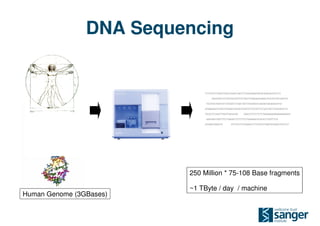 DNA Sequencing


                             TCTTTATTTTAGCTGGACCAGACCAATTTTGAGGAAAGGATACAGACAGCGCCTG

                                 AAGGTATGTTCATGTACATTGTTTAGTTGAAGAGAGAAATTCATATTATTAATTA

                              TGGTGGCTAATGCCTGTAATCCCAACTATTTGGGAGGCCAAGATGAGAGGATTGC

                             ATAAAAAAGTTAGCTGGGAATGGTAGTGCATGCTTGTATTCCCAGCTACTCAGGAGGCTG

                             TGCACTCCAGCTTGGGTGACACAG   CAACCCTCTCTCTCTAAAAAAAAAAAAAAAAAGG

                              AAATAATCAGTTTCCTAAGATTTTTTTCCTGAAAAATACACATTTGGTTTCA

                             ATGAAGTAAATCG     ATTTGCTTTCAAAACCTTTATATTTGAATACAAATGTACTCC




                         250 Million * 75-108 Base fragments

                         ~1 TByte / day / machine
Human Genome (3GBases)
 