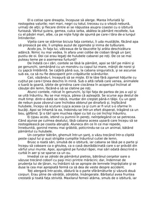 El o cotise spre dreapta, începuse să alerge. Marea înfuriată îşi
rostogolea valurile; nori mari, negri cu totul, treceau cu o viteză nebună,
urmaţi de alţii; şi fiecare dintre ei se năpustea asupra coastei cu o izbitură
furioasă. Vântul şuiera, gemea, culca iarba, abătea la pământ recoltele, lua
cu el păsări mari, albe, ca pe nişte fulgi de spumă pe care-i târa de-a lungul
întinderilor.
Vijelia care se stârnise biciuia faţa contelui, îi uda mustăţile, făcând apa
să şiroiască pe ele, îi umplea auzul de zgomote şi inima de tulburare.
Acolo jos, în faţa lui, vâlceaua de la Vaucotte îşi arăta deschizătura
adâncă. Nimic nu mai vedea, în afara unei colibe de cioban lângă un ţarc
pustiu de oi. Doi cai erau legaţi de hulubele cabanei pe roţi. De ce se mai
puteau teme pe o asemenea furtună?
De îndată ce-i zări, contele se lăsă la pământ, apoi se târî pe mâini şi
pe genunchi, semănând cu un monstru cu capul lui mare, mânjit de noroi şi
cu şapcă îmblănită. Se caţără până sus, la cabana singuratică, şi se ascunse
sub ea, ca să nu fie descoperit prin crăpăturile scândurilor.
Caii, văzându-l, începură să se mişte. El le tăie fără zgomot hăţurile cu
cuţitul pe care-l ţinea deschis în mină. Sub o altă rafală care venea, animalele
o luară la goană, izbite de grindina care ciocănea în acoperişul înclinat al
căsuţei din lemn, făcând-o să se clatine pe roţi.
Atunci contele, ridicat în genunchi, îşi lipi faţa de partea de jos a uşii şi
se uită înăuntru. Nu se mai mişca, părea că aşteaptă. Se scurse aşa destul de
mult timp: dintr-o dată se ridică, murdar din creştet până-n tălpi. Cu un gest
de nebun puse zăvorul care închidea oblonul pe dinafară şi, înşfăcând
hulubele, începu să scuture cuşca aceea ca şi cum ar fi vrut s-o sfarme în
bucăţi. Apoi se înhamă la ea, îndoindu-se într-un efort disperat, trăgând ca un
bou, gâfâind. Şi o târî spre muchea râpei cu tot cu cei închişi înăuntru.
Ei ţipau acolo, izbind cu pumnii în pereţi, neînţelegând ce se petrecea.
Când ajunse pe culmea dealului, lăsă cabana aceea uşoară care începu să se
rostogolească pe coasta abruptă. Aluneca din ce în ce mai repede,
înnebunită, gonind mereu mai grăbită, poticnindu-se ca un animal, bătând
pământul cu hulubele.
Un cerşetor bătrân, ghemuit într-un şanţ, o văzu trecând într-o clipită
peste capul lui şi auzi strigăte cumplite înăuntrul cutiei de lemn.
Brusc o roată sări, smulsă de o izbitură, iar cabana se lăsă pe o parte şi
începu să coboare ca o ghiulea, ca o casă dezrădăcinată care s-ar prăvăli din
vârful unui munte. Apoi, ajungând pe fundul râpei, mai sări odată descriind o
curbă în aer şi se sparse ca un ou.
Imediat ce se zdrobi de pământul pietros, bătrânul cerşetor oare o
văzuse trecând coborî cu paşi mici printre mărăcini; dar, îndemnat de
prudenţa lui de ţăran, nu îndrăzni să se apropie de lemnele împrăştiate şi se
duse la cea mai apropiată fermă ca să dea de veste despre accident.
Toţi alergară într-acolo, dădură la o parte sfărâmăturile şi văzură două
corpuri. Erau pline de vânătăi, zdrobite, însângerate. Bărbatul avea fruntea
crestată şi toată faţa strivită. Maxilarul femeii atârna, smuls de o izbitură, iar
 