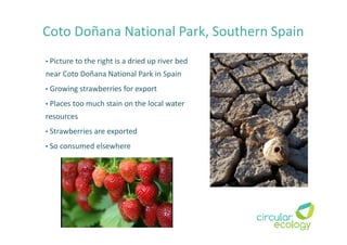 • Picture to the right is a dried up river bed
near Coto Doñana National Park in Spain
• Growing strawberries for export
• Places too much stain on the local water
resources
• Strawberries are exported
• So consumed elsewhere
Coto Doñana National Park, Southern Spain
 