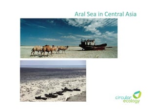 Aral Sea in Central Asia
 