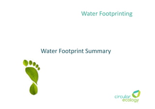 Water Footprint Summary
Water Footprinting
 
