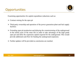 Opportunities
Examining opportunities for capital expenditure reductions such as:
 Contract mining for the open pit
 Third party ownership and operation of the power generation plant and fuel supply
facilities
 Extending open pit production and delaying the commissioning of the underground
in the initial years of the mine life in order to take advantage of the high grade
open pit and defer the expansion capital required for the underground. This would
provide additional cash flow for funding the underground expansion.
 Further updates will be provided as conclusions are reached.

TSX : GUY

www.guygold.com

13

 