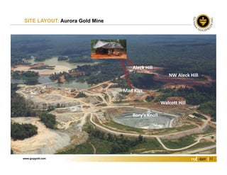 www.guygold.com 11
SITE LAYOUT: Aurora Gold Mine
Rory’s Knoll
Walcott Hill
Mad Kiss
Aleck Hill
NW Aleck Hill
 