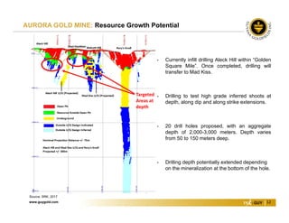 www.guygold.com 12
AURORA GOLD MINE: Resource Growth Potential
Source: SRK, 2017
• Currently infill drilling Aleck Hill within “Golden
Square Mile”. Once completed, drilling will
transfer to Mad Kiss.
• Drilling to test high grade inferred shoots at
depth, along dip and along strike extensions.
• 20 drill holes proposed, with an aggregate
depth of 2,000-3,000 meters. Depth varies
from 50 to 150 meters deep.
• Drilling depth potentially extended depending
on the mineralization at the bottom of the hole.
Targeted 
Areas at 
depth
 