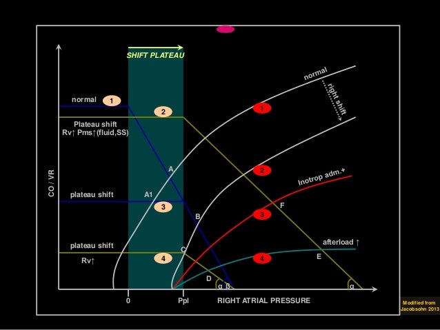 Guytonian Approach To Shock Mean Systemic Filling Pressure Centered
