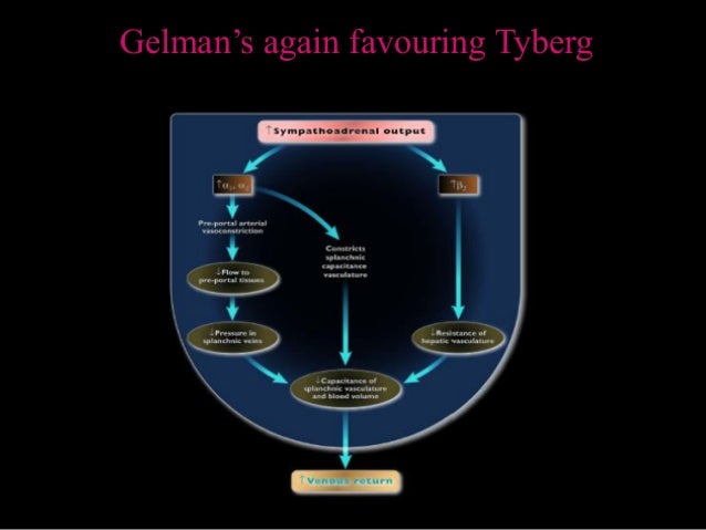 Guytonian Approach To Shock Mean Systemic Filling Pressure Centered