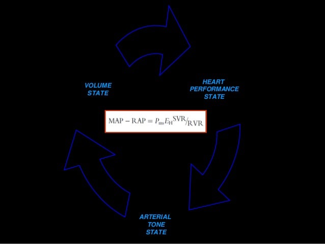 Guytonian Approach To Shock Mean Systemic Filling Pressure Centered
