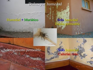 Solo   humedad Ducha permeable Solo   humedad Cañerías rotas Humedad   +   Muriático Sobre-cimiento permeable Daños por humedad 