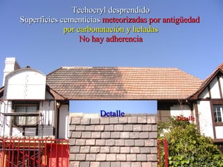 Techocryl desprendido Superficies cementicias  meteorizadas por antigüedad   por carbonatación y heladas No hay adherencia Detalle Detalle 