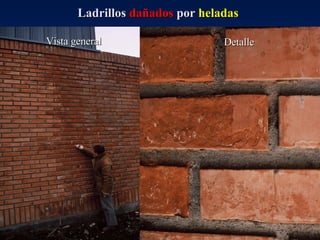 Ladrillos  dañados  por  heladas   Detalle Vista general 