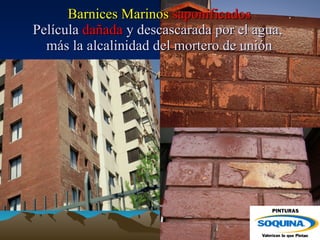 Barnices Marinos  saponificados Película  dañada  y descascarada por el agua,  más la alcalinidad del mortero de unión 