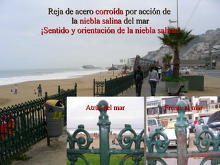 Reja de acero   corroída   por acción de   la  niebla salina   del mar ¡Sentido y orientación de la niebla salina! Atrás del mar Frente al mar 