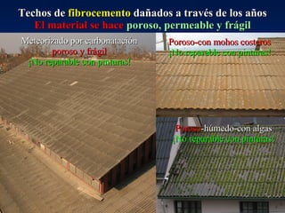 Techos de  fibrocemento  dañados a través de los años El material se hace  poroso, permeable y frágil Meteorizado por carbonatación poroso y frágil ¡No reparable con pinturas! Poroso -húmedo-con algas ¡No reparable con pinturas! Poroso-con mohos costeros ¡No reparable con pinturas! 