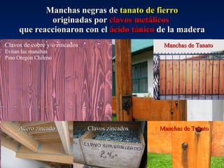 Manchas negras de  tanato de fierro originadas por  clavos metálicos   que reaccionaron con el  ácido tánico  de la madera Clavos de cobre y/o zincados  Evitan las manchas Pino Oregón Chileno Acero zincado   Manchas de Tanato Clavos zincados Manchas de Tanato 