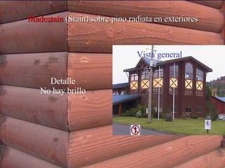 Detalle No hay brillo Vista general Madestain   (Stain) sobre pino radiata en exteriores 