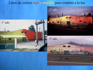 Látex de colores   rojo  y  amarillo   poco estables a la luz 1° año 2° año 3° año 