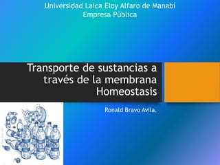 Transporte de sustancias a
través de la membrana
Homeostasis
Ronald Bravo Avila.
Universidad Laica Eloy Alfaro de Manabí
Empresa Pública
 