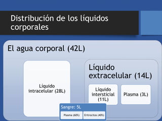 Transporte de sustancias a través de la membrana-Homeostasis. Feedback