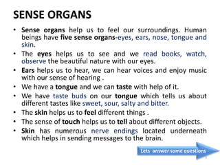 SENSE ORGANS
• Sense organs help us to feel our surroundings. Human
beings have five sense organs-eyes, ears, nose, tongue and
skin.
• The eyes helps us to see and we read books, watch,
observe the beautiful nature with our eyes.
• Ears helps us to hear, we can hear voices and enjoy music
with our sense of hearing .
• We have a tongue and we can taste with help of it.
• We have taste buds on our tongue which tells us about
different tastes like sweet, sour, salty and bitter.
• The skin helps us to feel different things .
• The sense of touch helps us to tell about different objects.
• Skin has numerous nerve endings located underneath
which helps in sending messages to the brain.
Lets answer some questions
3
 