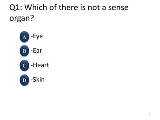 Q1: Which of there is not a sense
organ?
-Eye
-Ear
-Heart
-Skin
5
 