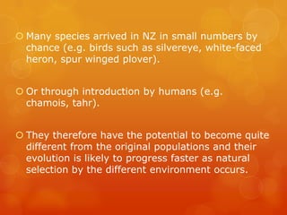  Many species arrived in NZ in small numbers by
  chance (e.g. birds such as silvereye, white-faced
  heron, spur winged plover).


 Or through introduction by humans (e.g.
  chamois, tahr).


 They therefore have the potential to become quite
  different from the original populations and their
  evolution is likely to progress faster as natural
  selection by the different environment occurs.
 