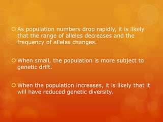  As population numbers drop rapidly, it is likely
  that the range of alleles decreases and the
  frequency of alleles changes.


 When small, the population is more subject to
  genetic drift.


 When the population increases, it is likely that it
  will have reduced genetic diversity.
 