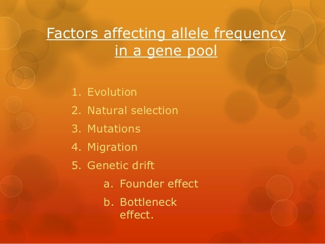 Factors That Caused Allele Frequencies