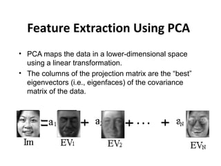 Feature Extraction Using PCA
• PCA maps the data in a lower-dimensional space
using a linear transformation.
• The columns of the projection matrix are the “best”
eigenvectors (i.e., eigenfaces) of the covariance
matrix of the data.
 