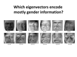 Which eigenvectors encode
mostly gender information?
EV#1 EV#2 EV#3 EV#4 EV#5 EV#6
EV#8 EV#10 EV#12 EV#14 EV#19 EV#20
 