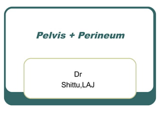 Pelvis + Perineum
Dr
Shittu,LAJ
 