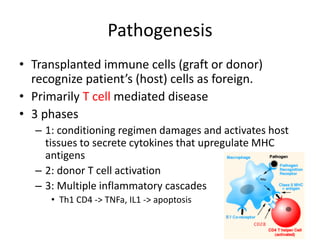 Pathogenesis
• Transplanted immune cells (graft or donor)
recognize patient’s (host) cells as foreign.
• Primarily T cell mediated disease
• 3 phases
– 1: conditioning regimen damages and activates host
tissues to secrete cytokines that upregulate MHC
antigens
– 2: donor T cell activation
– 3: Multiple inflammatory cascades
• Th1 CD4 -> TNFa, IL1 -> apoptosis
 
