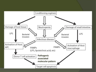 Pathogenic
associated
molecular pattern
 