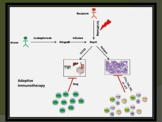 Adoptive
immunotherapy
 
